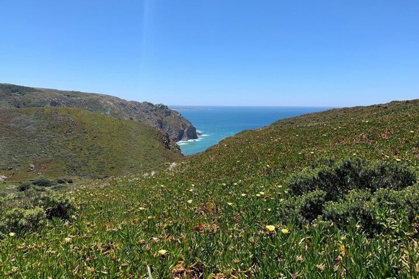 Cabo da Roca