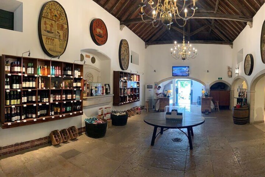 Setubal wine tour to two wineries private tour