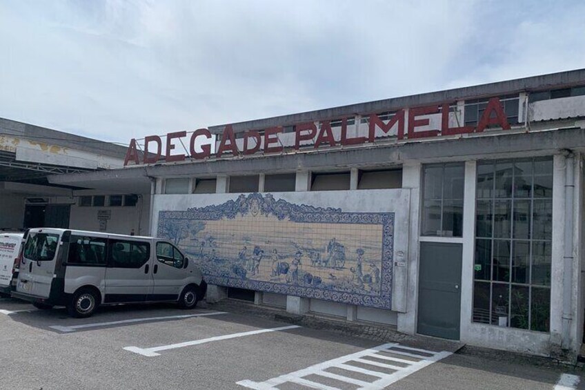 Setubal wine tour to two wineries private tour