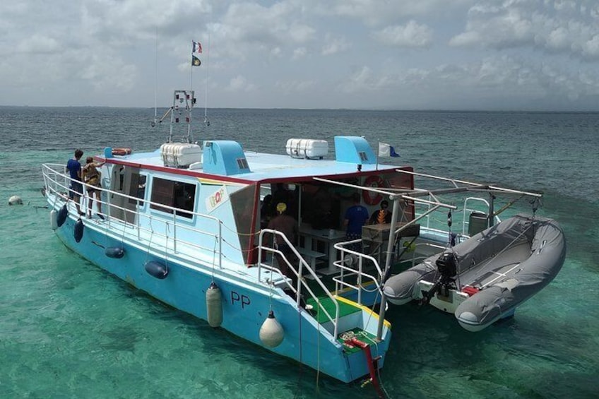discovery of the seabed of the largest lagoon in guadeloupe on the h2o boat