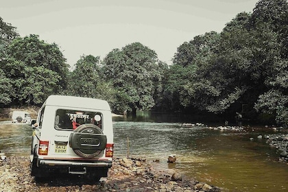 Dudhsagar Falls Private Day Tour From South Goa