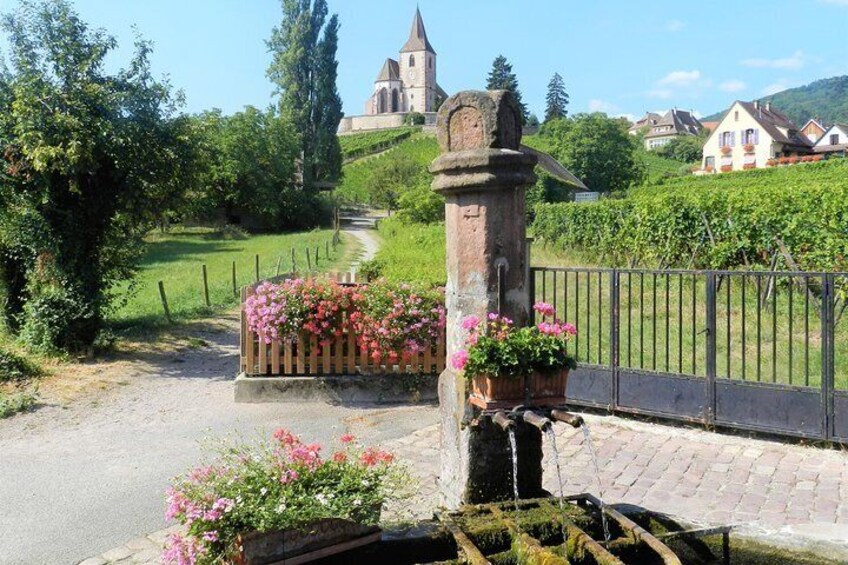 The Emblematic: visit of villages, Haut-Koenigsbourg, Wine tasting