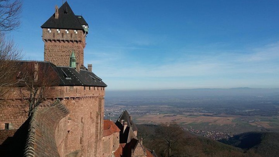 The Emblematic: visit of villages, Haut-Koenigsbourg, Wine tasting