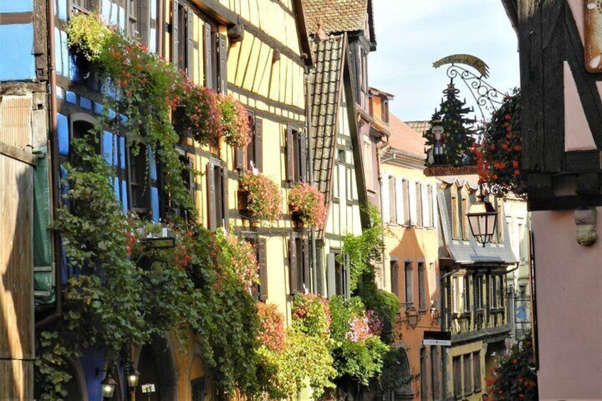 The Emblematic: visit of villages, Haut-Koenigsbourg, Wine tasting