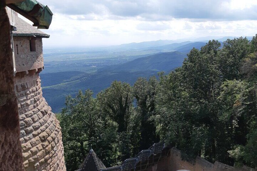 The Emblematic: visit of villages, Haut-Koenigsbourg, Wine tasting