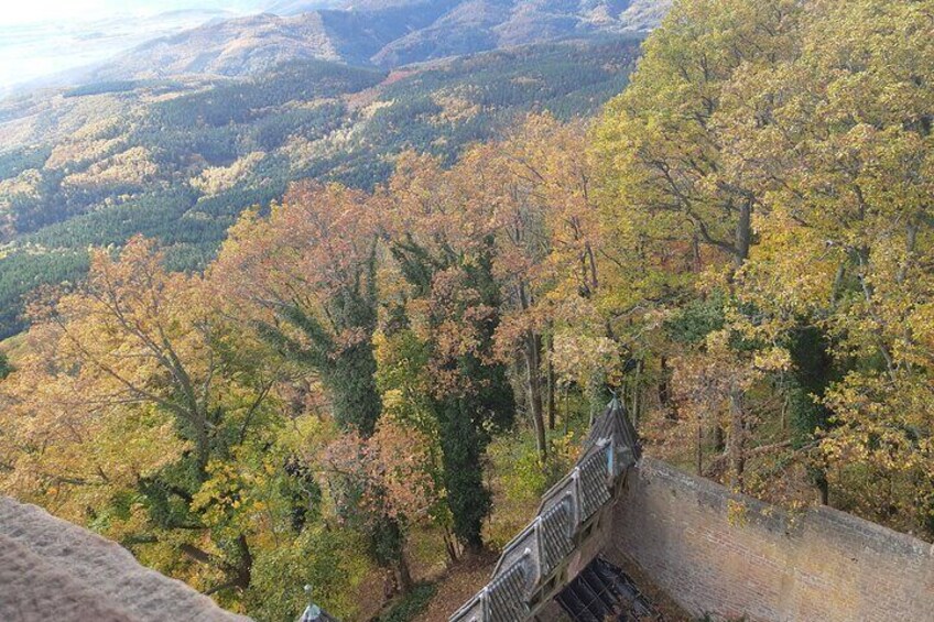 The Emblematic: visit of villages, Haut-Koenigsbourg, Wine tasting