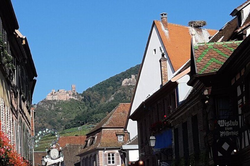 The Emblematic: visit of villages, Haut-Koenigsbourg, Wine tasting