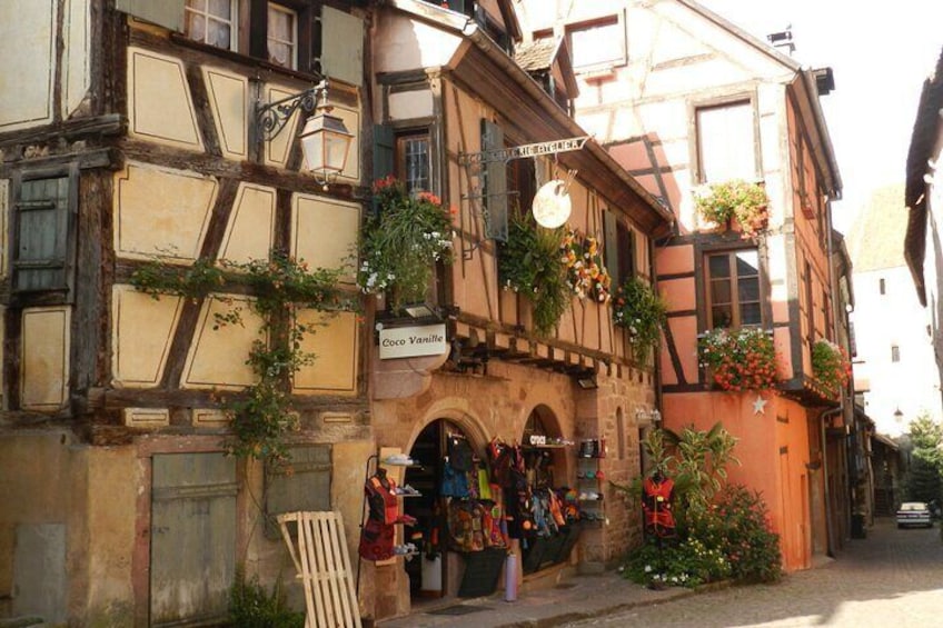 The Emblematic: visit of villages, Haut-Koenigsbourg, Wine tasting