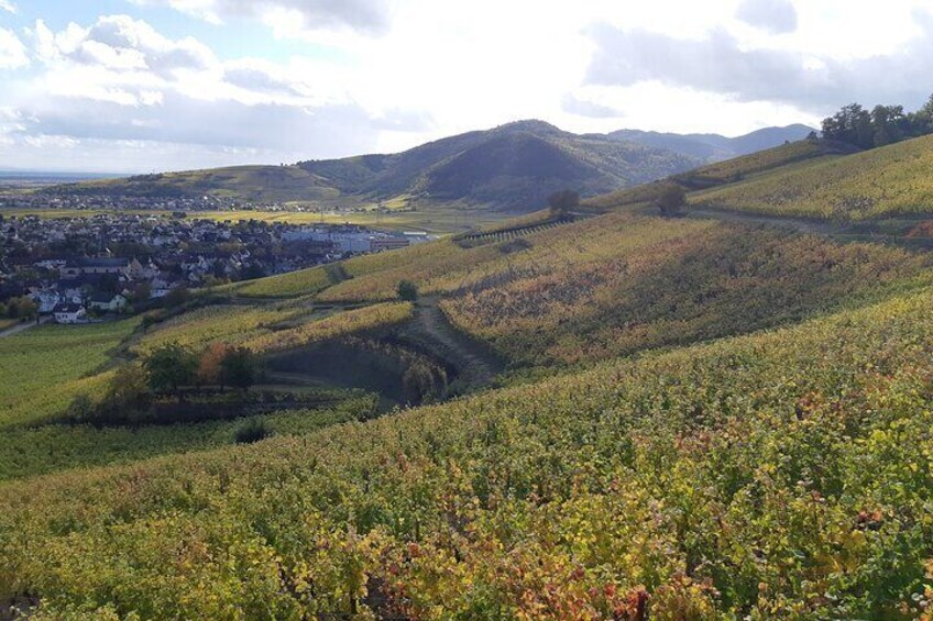 ICONICS Tour: 1/2 day on the Wine Route, visit of 2 Villages + Tasting.