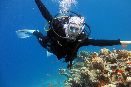 Excursion to Tiran Island by boat