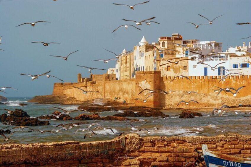 From Marrakech: A Private Day Journey to Essaouira to Mogador