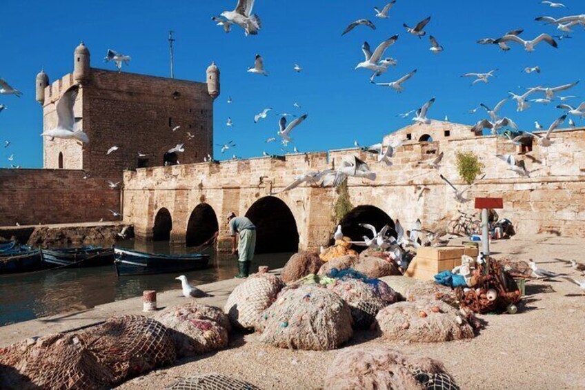 From Marrakech: A Private Day Journey to Essaouira to Mogador