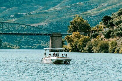 Boat, lunch & wine tour