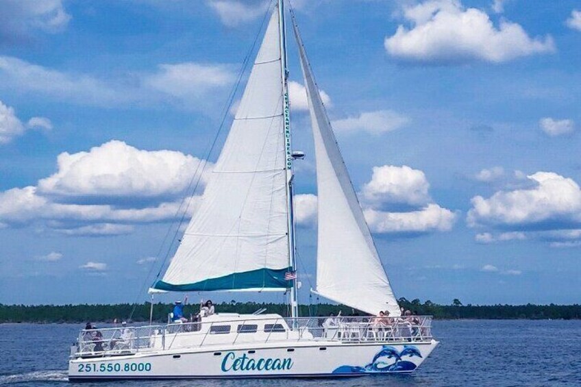 catamaran in orange beach