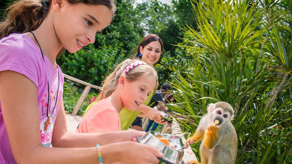Family feeding monkeys at Monkey Land in Punta Cana