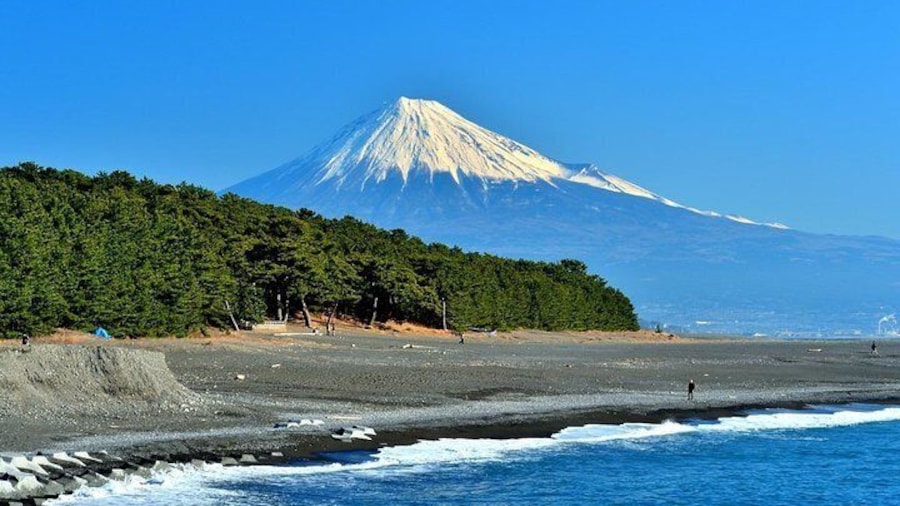 Shizuoka/Shimizu Mt Fuji View 6 hr Private Tour: Guide Only