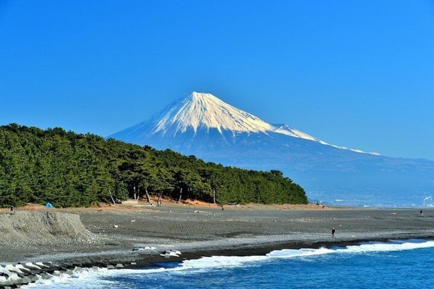 Shizuoka/Shimizu Mt Fuji View Full-Day Private Tour with Licensed Guide