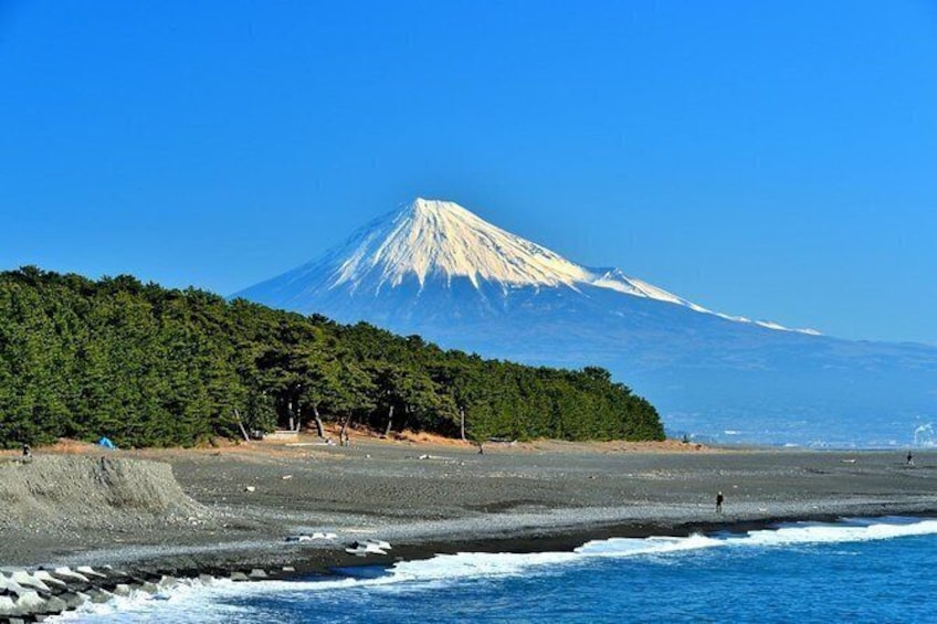 Shizuoka/Shimizu Half-Day Private Tour with Nationally-Licensed Guide