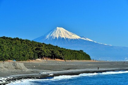 Port Pick-Up: Shizuoka Tour with Licensed Guide and Vehicle