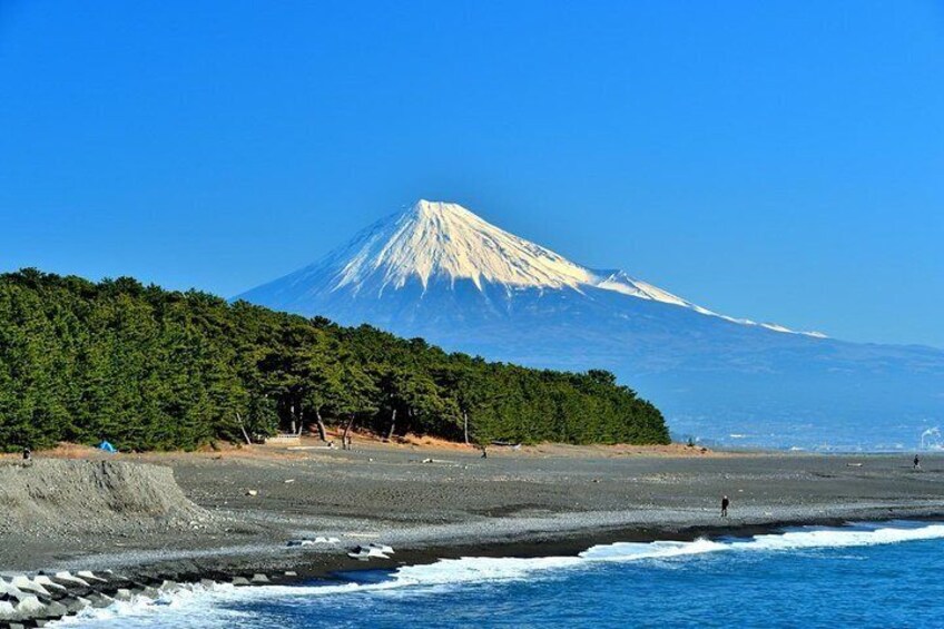 Shizuoka/Shimizu Mt Fuji View Half-Day Private Tour with Licensed Guide