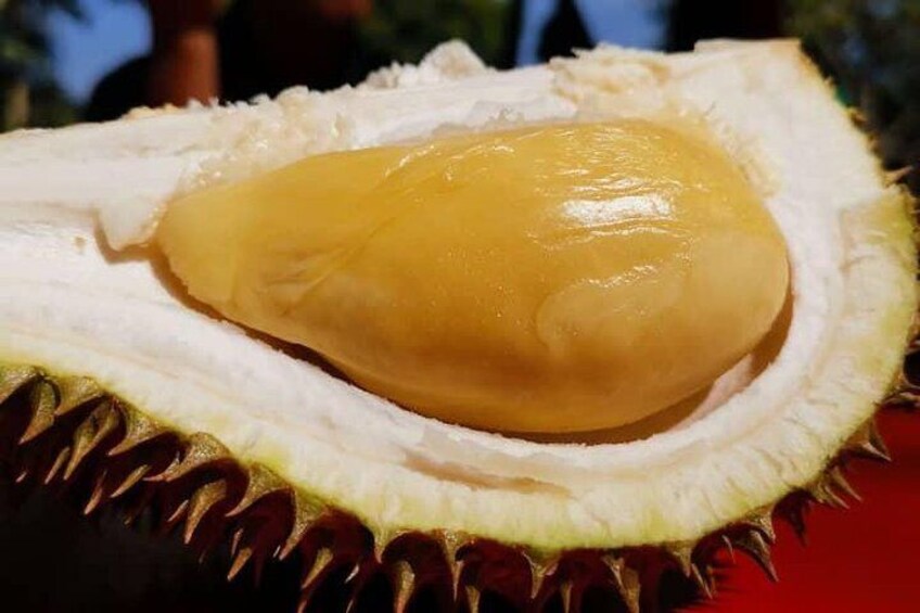 King of Fruit - Durian