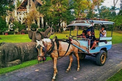 Sunset Horse Cart Ride in Northwest Coast of Lombok