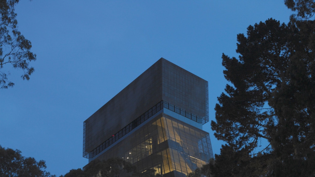 Facility for The de Young Museum Admission