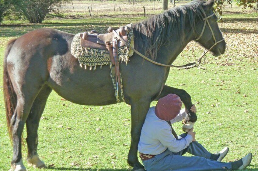 Private GAUCHO TOUR - FULL DAY TRIP Guided in EN, SPA or FR - Argentina