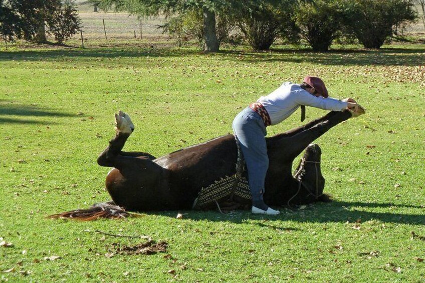 Private GAUCHO TOUR - FULL DAY TRIP Guided in EN, SPA or FR - Argentina