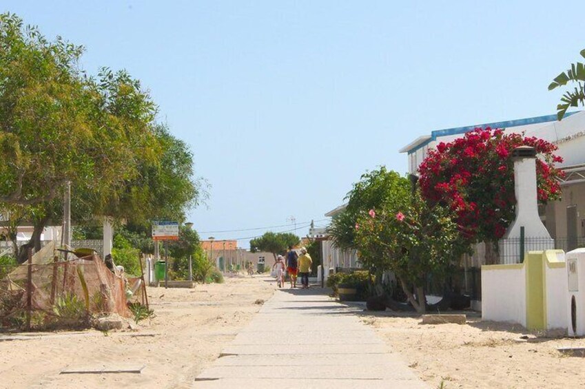 Islands Tour: Half Day Cruise in Ria Formosa National Park