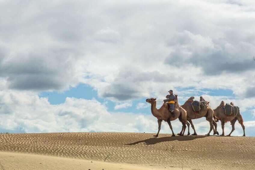 The Essence of Mongolia 3 Days