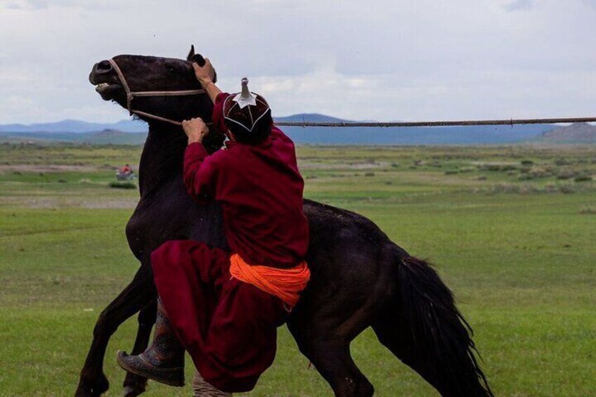 The Essence of Mongolia 3 Days