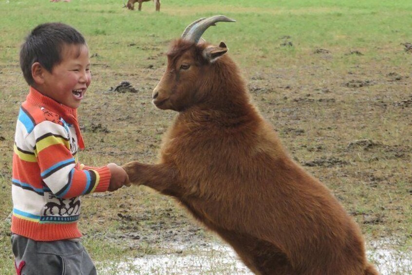 The Essence of Mongolia 5 Days