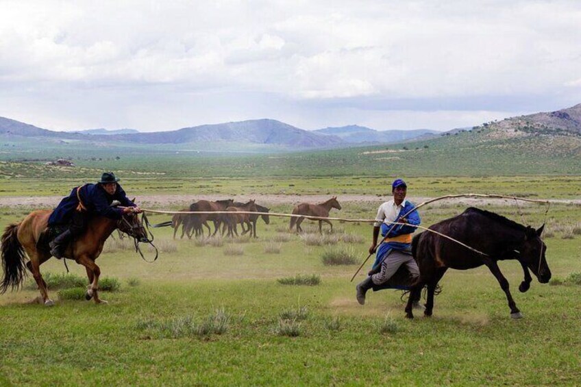 The Essence of Mongolia 5 Days
