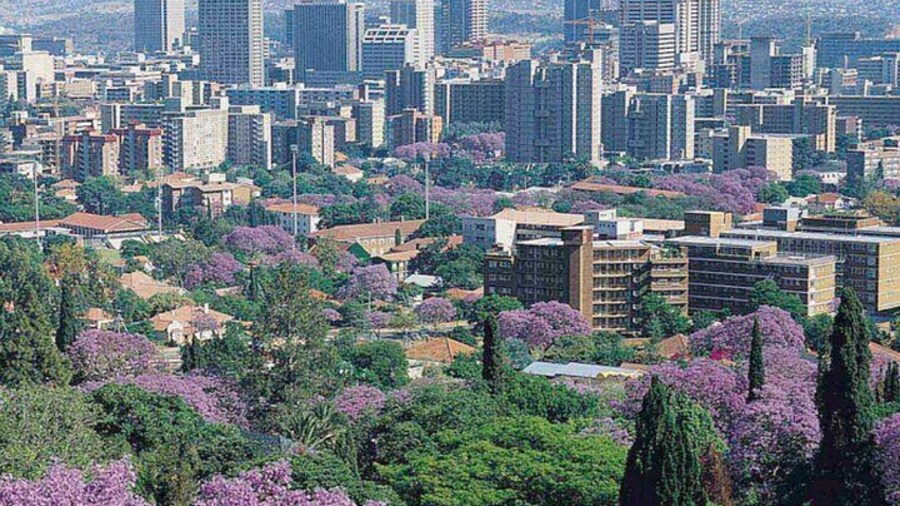 Pretoria Capital city with Jacaranda flowers