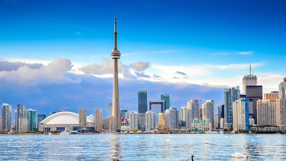 Toronto Hop-On Hop-Off Bus Tour