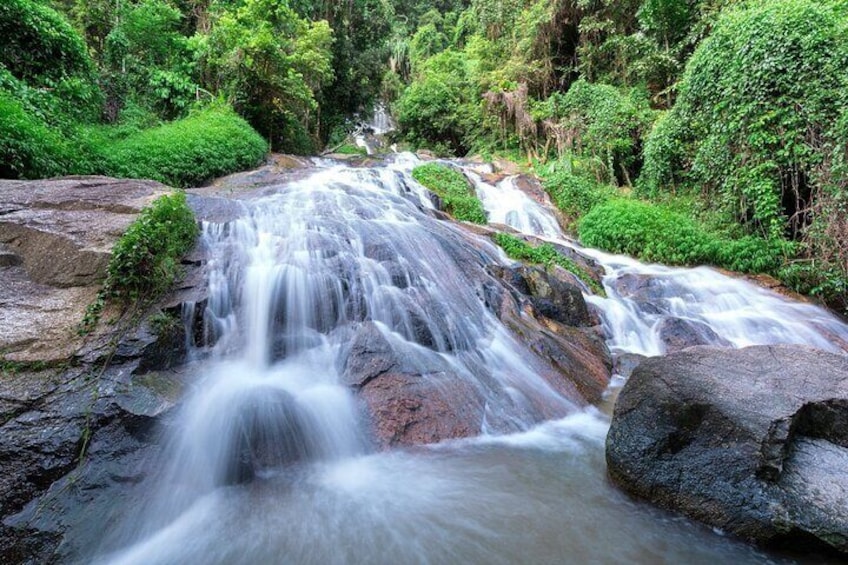 Full Day Jungle Discovery Koh Samui