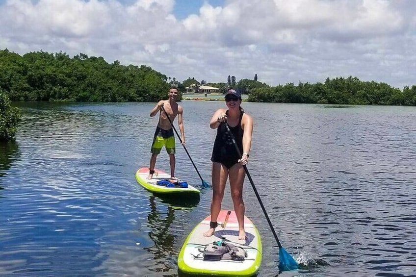 Paddleboard Tour Through Lido Mangrove Tunnels