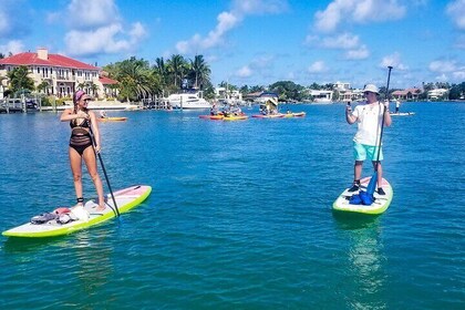 Paddleboard Tour Through Lido Mangrove Tunnels