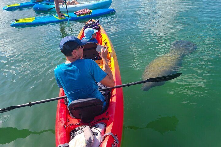 Kayak Tour Through Mangrove Tunnels