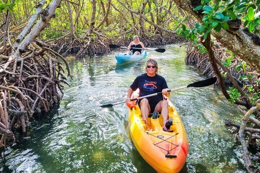 Kayak Tour through Mangrove Tunnels