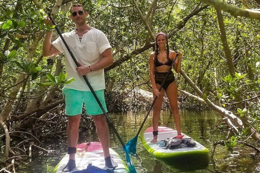 Kayak Tour through Mangrove Tunnels