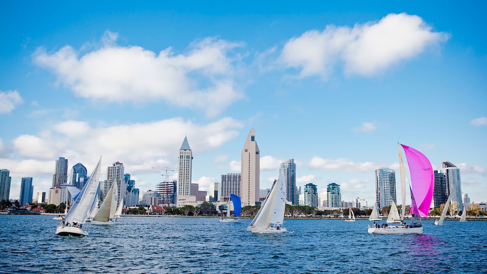 city view from cruise in san diego california