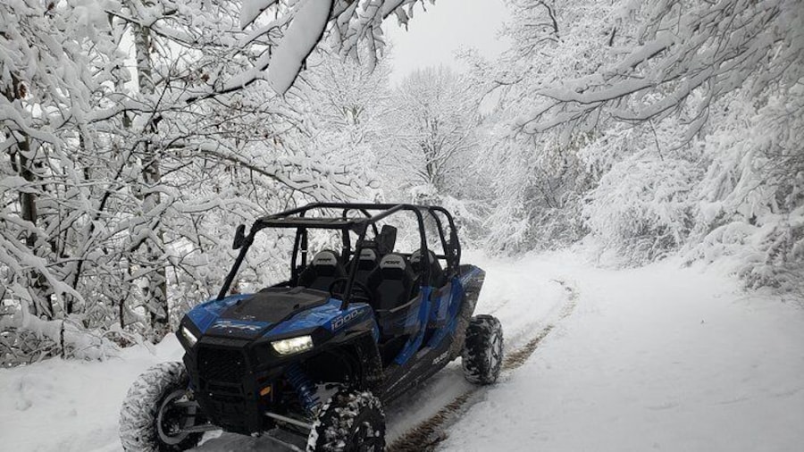 Superb buggy experience in Pamporovo
