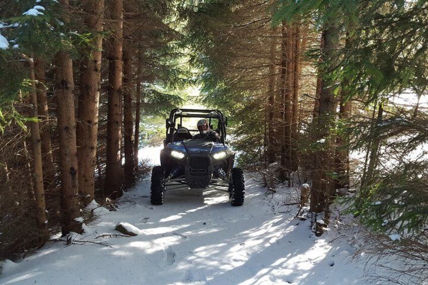 Private Buggy Experience All Seasons in Pamporovo