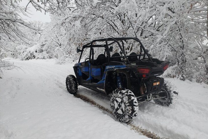 Superb buggy experience in Pamporovo