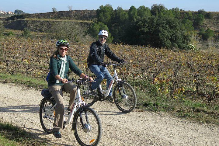 Electric Bicycle Route And Wine Tasting