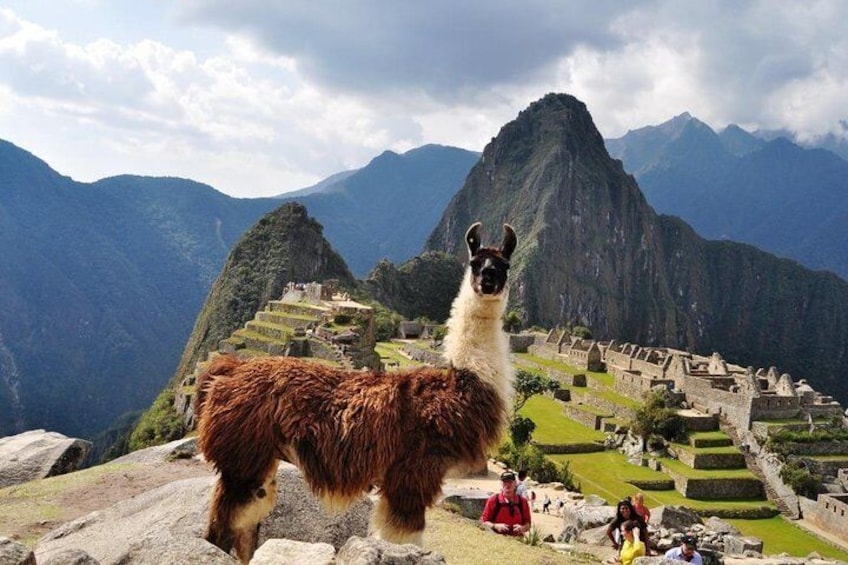 Sacred Valley of the Incas + Machu Picchu