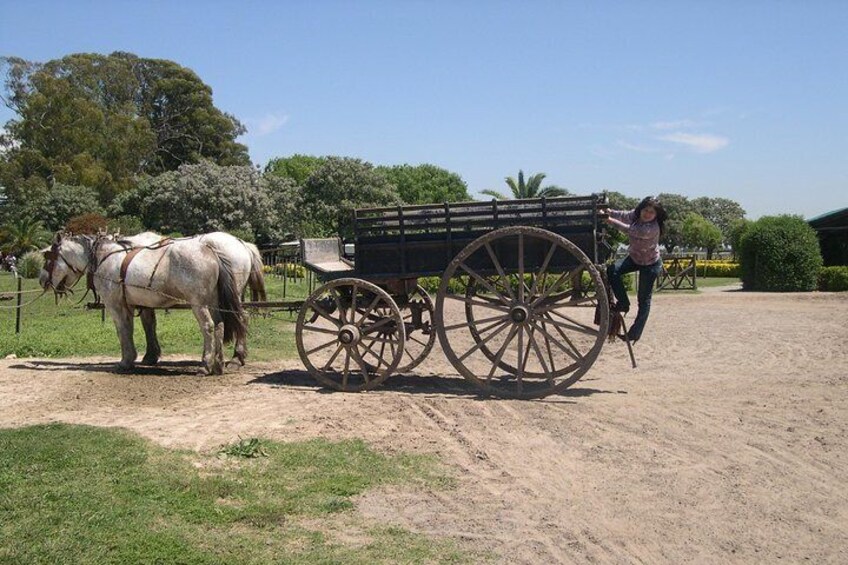 Estancia Day in Buenos Aires, Gaucho´s Party Tour