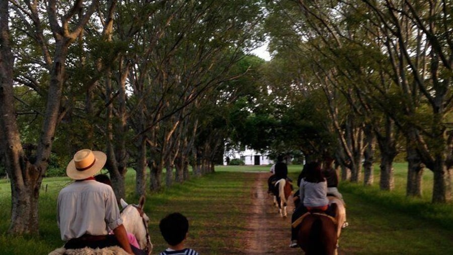 Horse riding